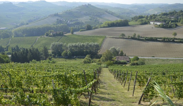PANORAMIC VIEW, RELAX, Bed & Breakfast in Alba
