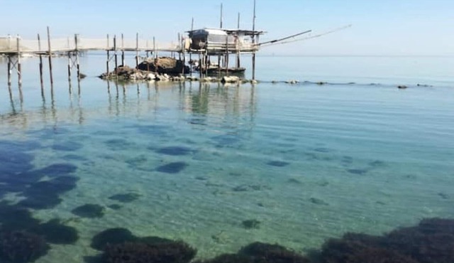 Patrizia House Costa Trabocchi