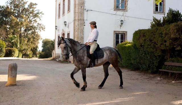 Quinta dos Álamos Agroturismo