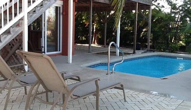 Relax at the flying hogfish