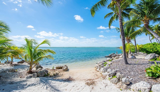 Sea Magic on Marlin - Panoramic Open Water Views & Spacious 5-bedroom House