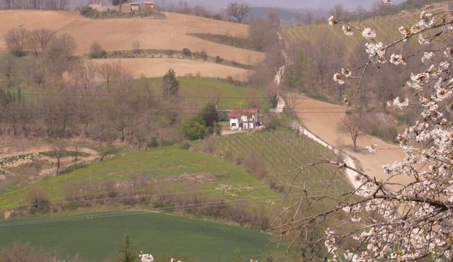 Small Family villa with vineyard. La Stazione