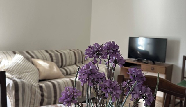 Spacious apartment 200meters from the pine forest and sea
