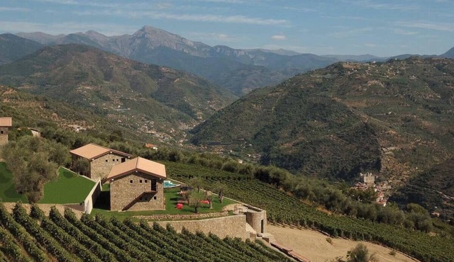 Stone farmhouses among olives and vines