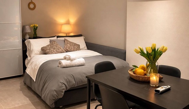 Studio apartment in the heart of Piacenza Horse Square