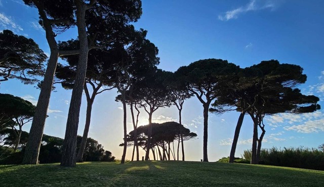 Studio apartments near Baratti Bay