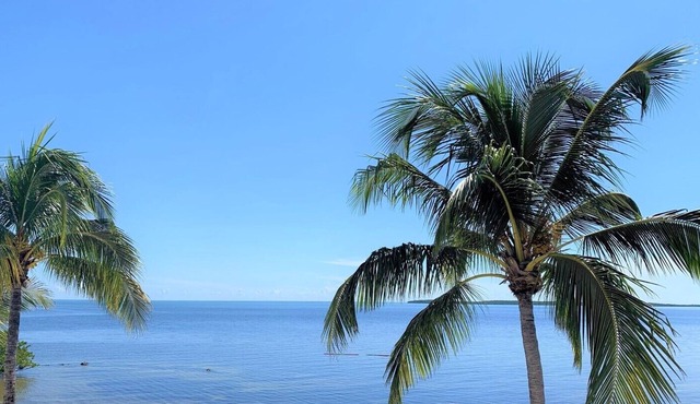 Stunning Views At This Oceanfront Key Largo Villa!