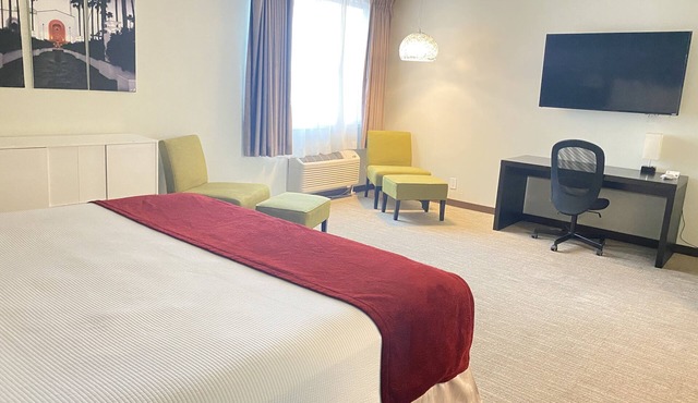 Suite with free parking near Manhattan Beach, LAX access & South Bay dining