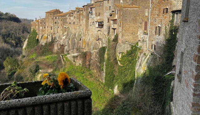 Suspended in the village
