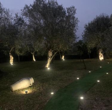 Tenuta degli Uliveti