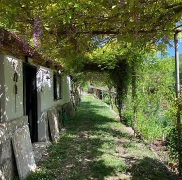 Tra Fiori e Antichità