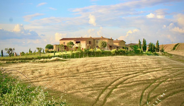 Traditional Tuscan farmhouse with 360° view near Montalcino and Siena