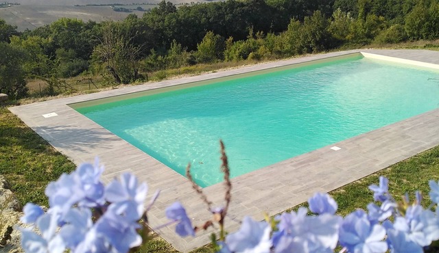 typical farmhouse with swimming pool in the green Umbrian hills