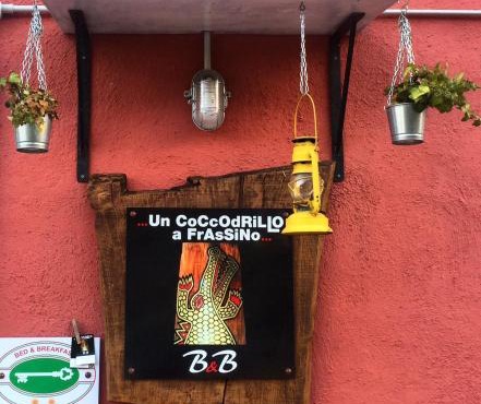Un coccodrillo a FrAsSiNo