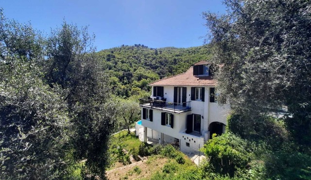 Unique retreat in Andora hills ,10 minutes to beaches