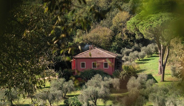 Villa amongst olive and hazelnut groves in Tuscia