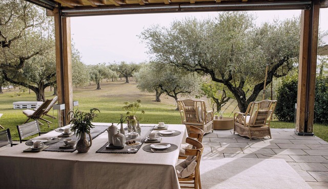 Villa with olive grove in Abruzzo