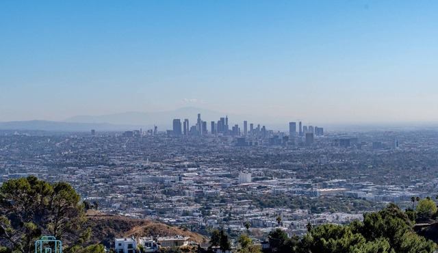 Voted "Best Jet Liner Views" in LA Dogs Ok