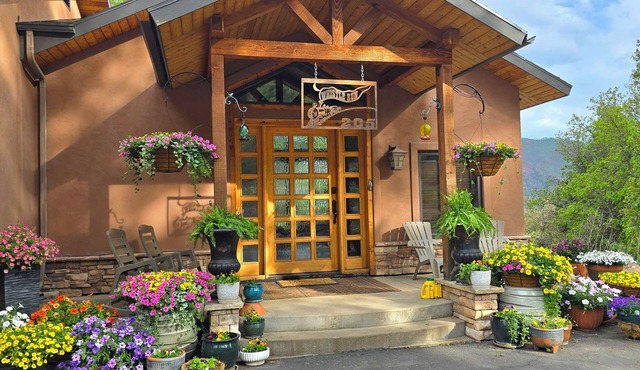WHISTLE RUN: Exceptional Mountain Retreat, Views, Privacy & Historic DSNGTrain
