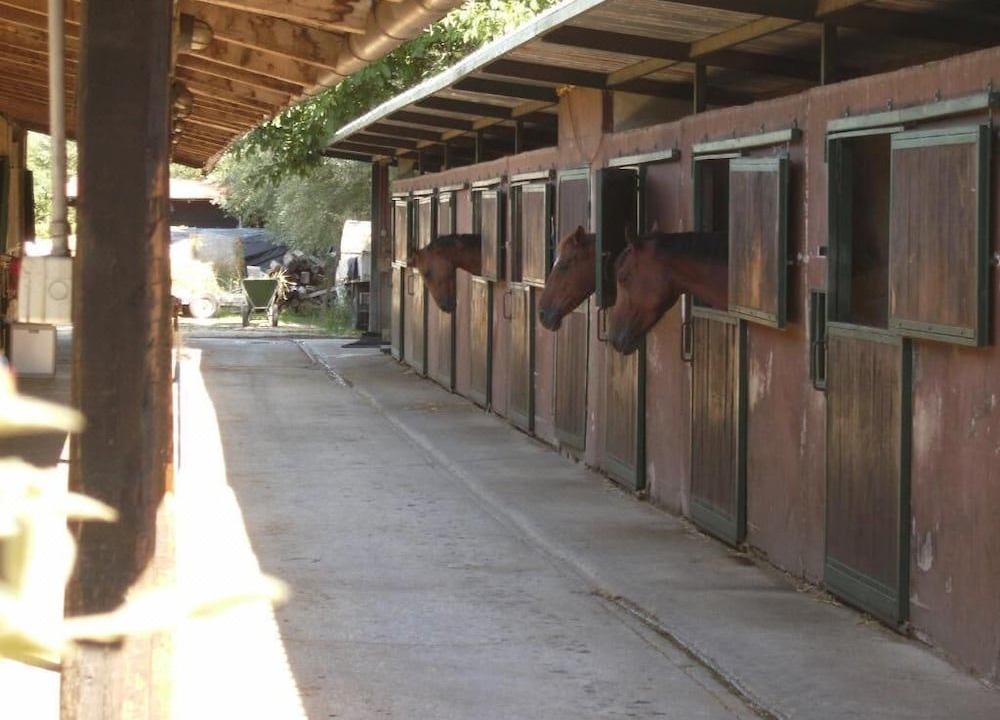 Photo of Others in Cavalletto