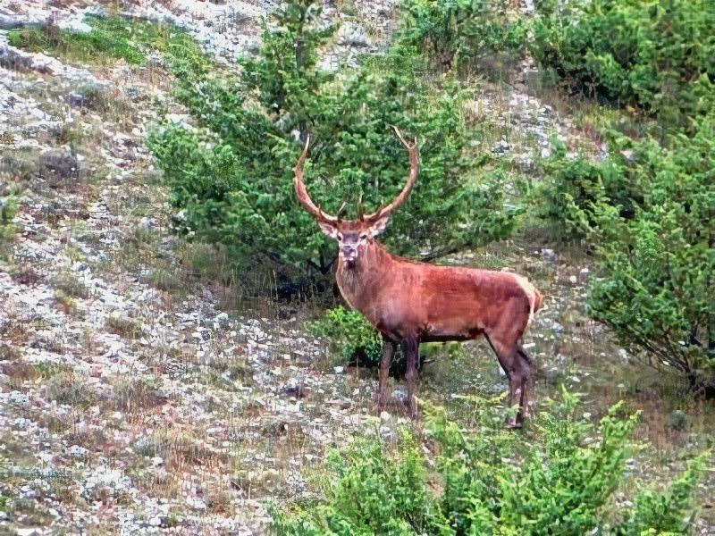 Photo of Others in Gioia dei Marsi