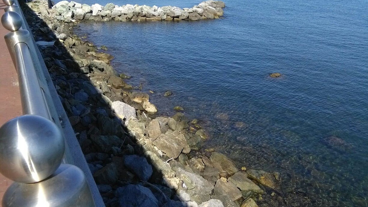 Photo of Outdoor in Pegli