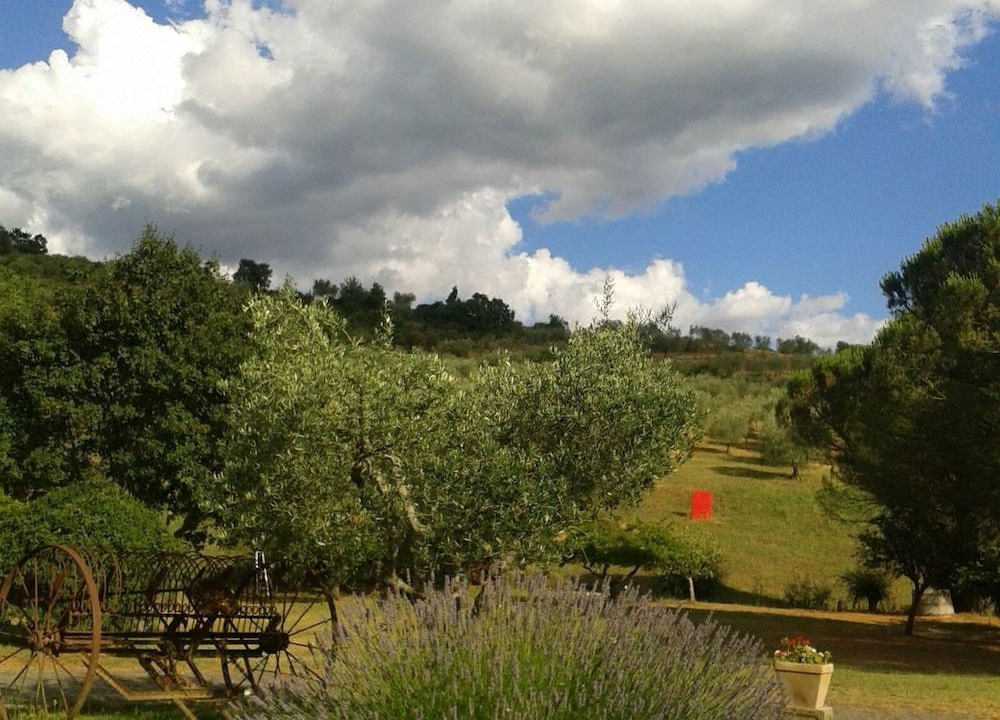 Photo of Outdoor in Acquapendente