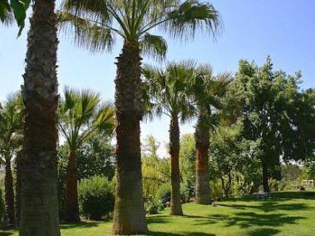 Photo of Outdoor in Ardea