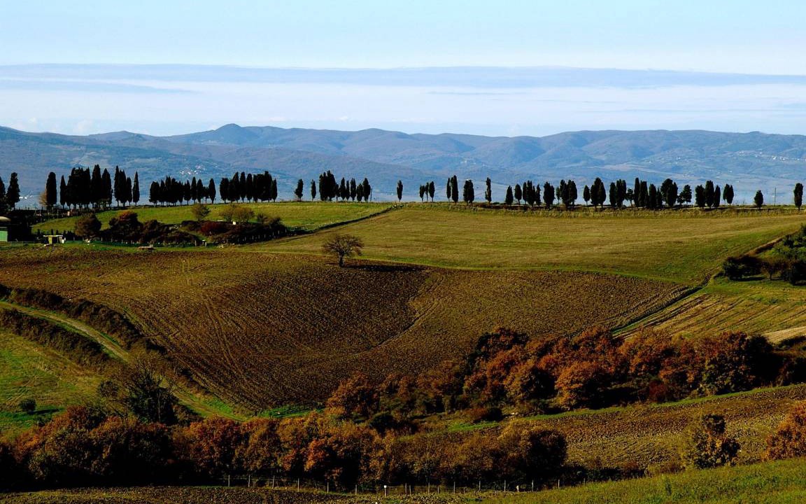 Photo of Others in Volterra