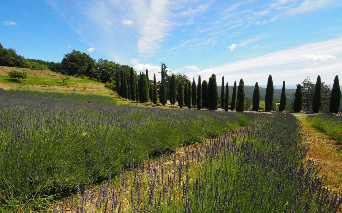 Photo of Outdoor in San Gimignano