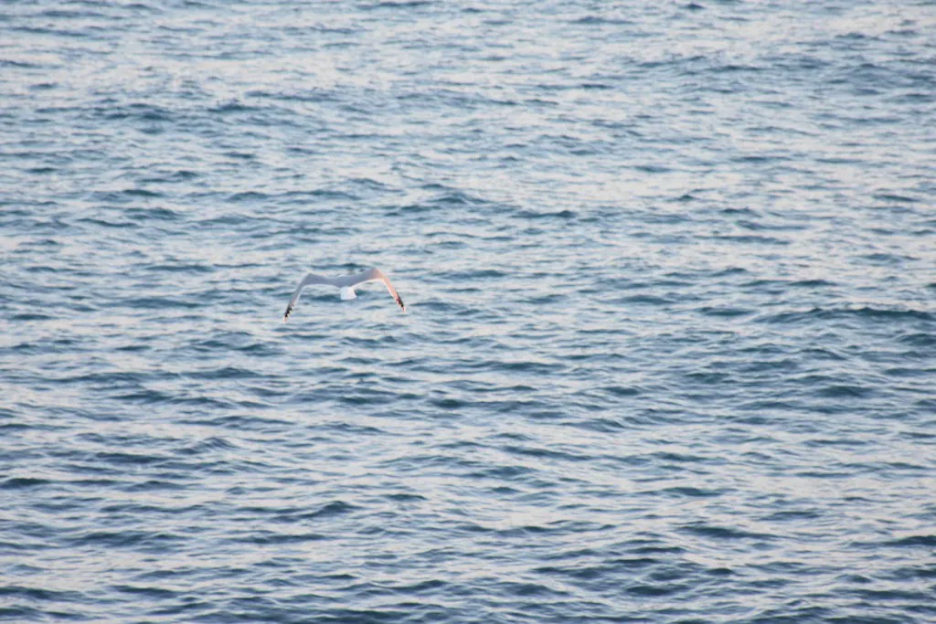 Photo of Outdoor in Albissola Marina
