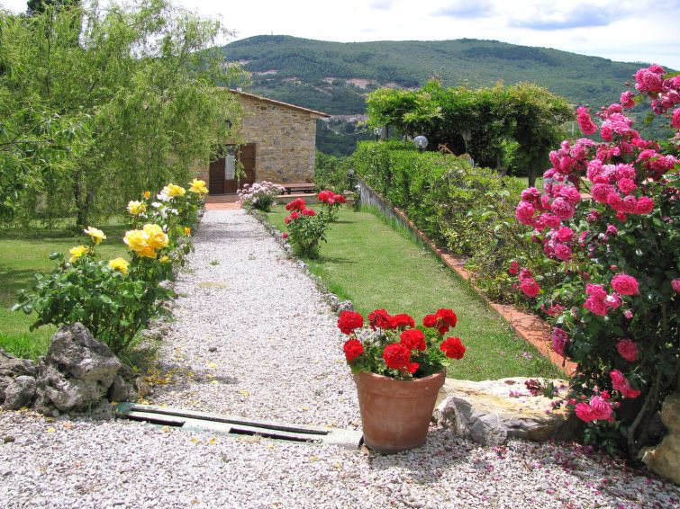 Photo of Others in Castelnuovo di Val di Cecina