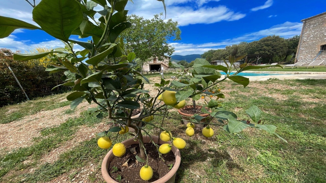 Photo of Outdoor in Poreta