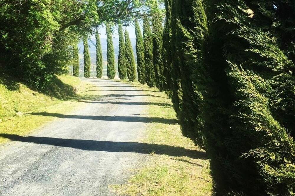 Photo of Outdoor in Montecatini Val di Cecina