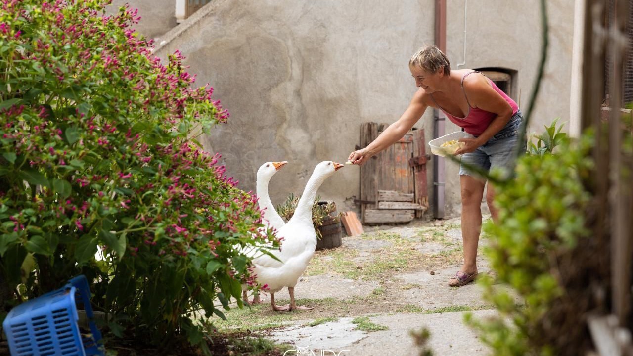 Photo of Outdoor in Roccalvecce