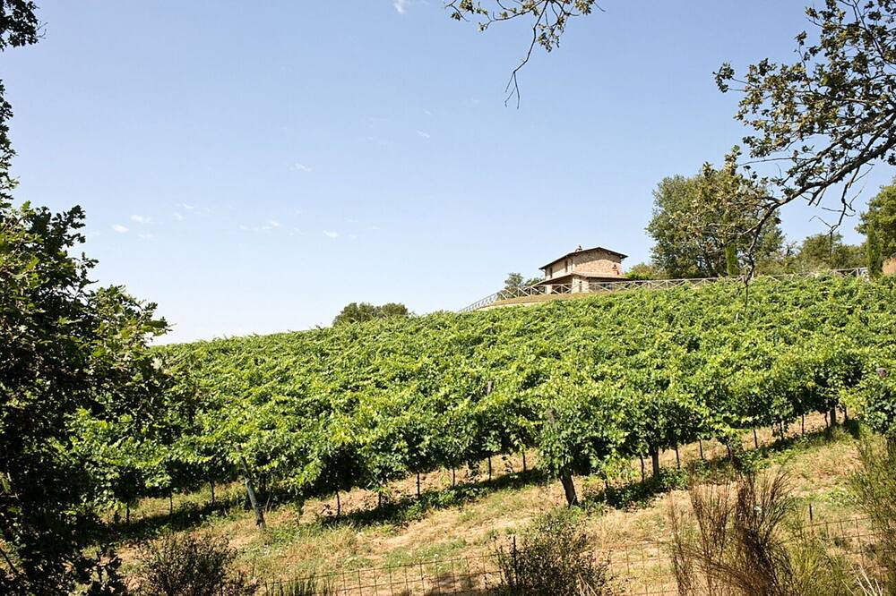 Photo of Others in Pietraviva