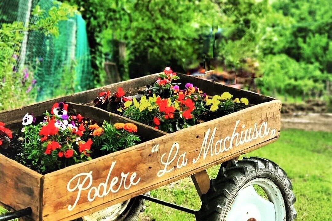 Photo of Outdoor in Pratovecchio