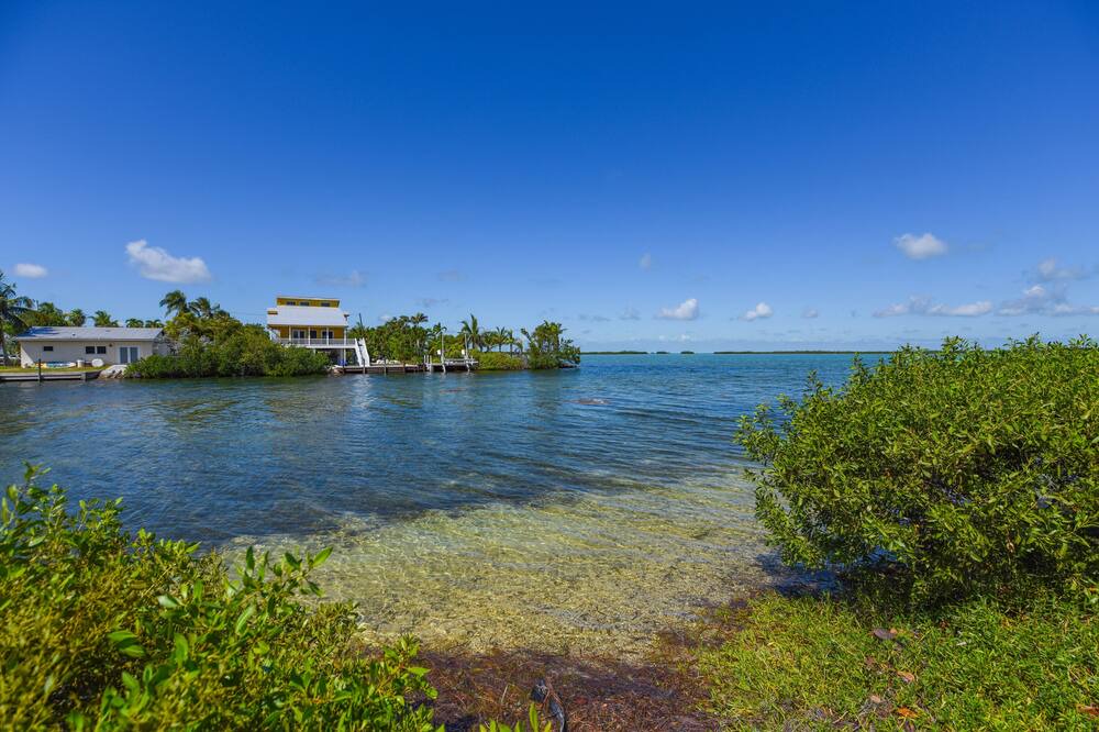 Photo of Others in Key West