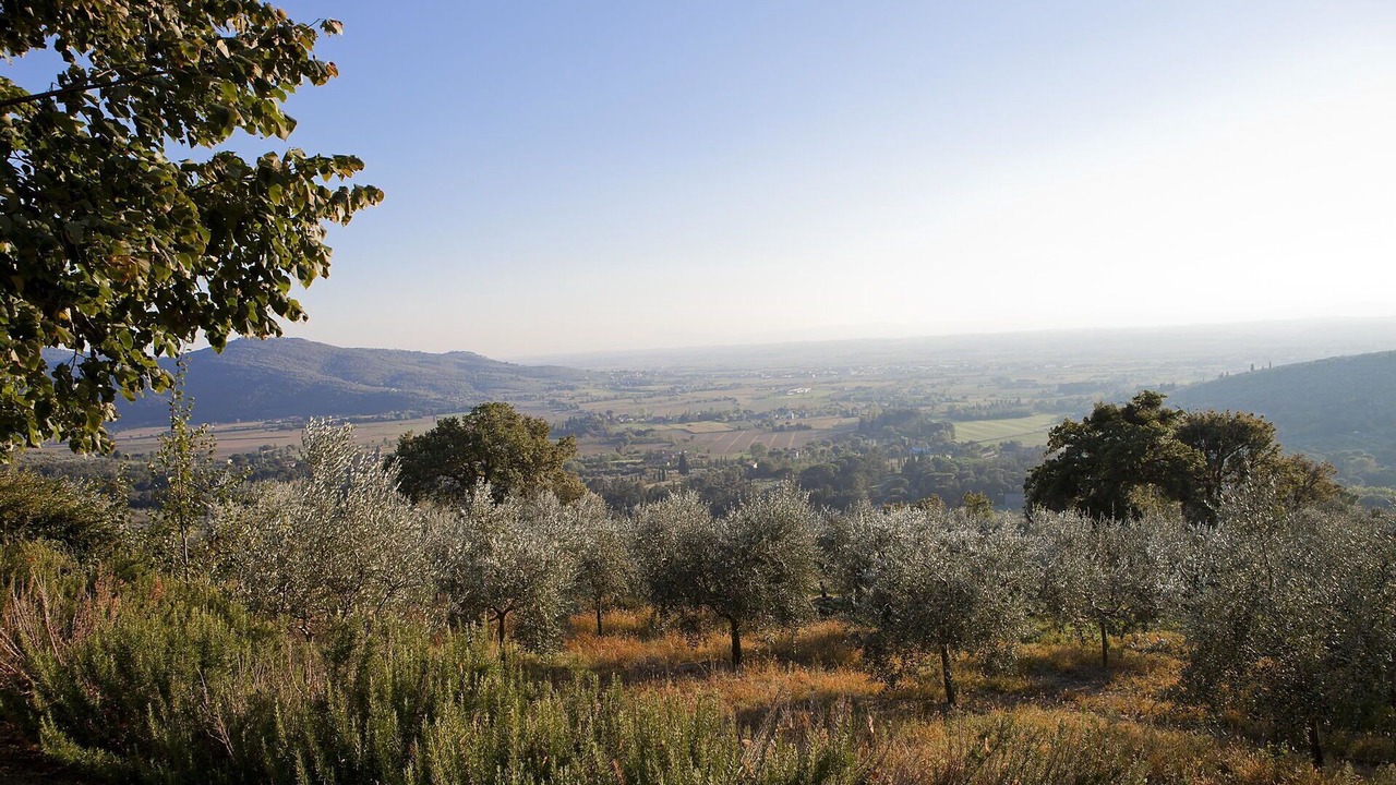 Photo of Others in Cortona