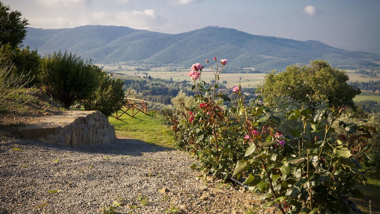 Photo of Outdoor in Cortona