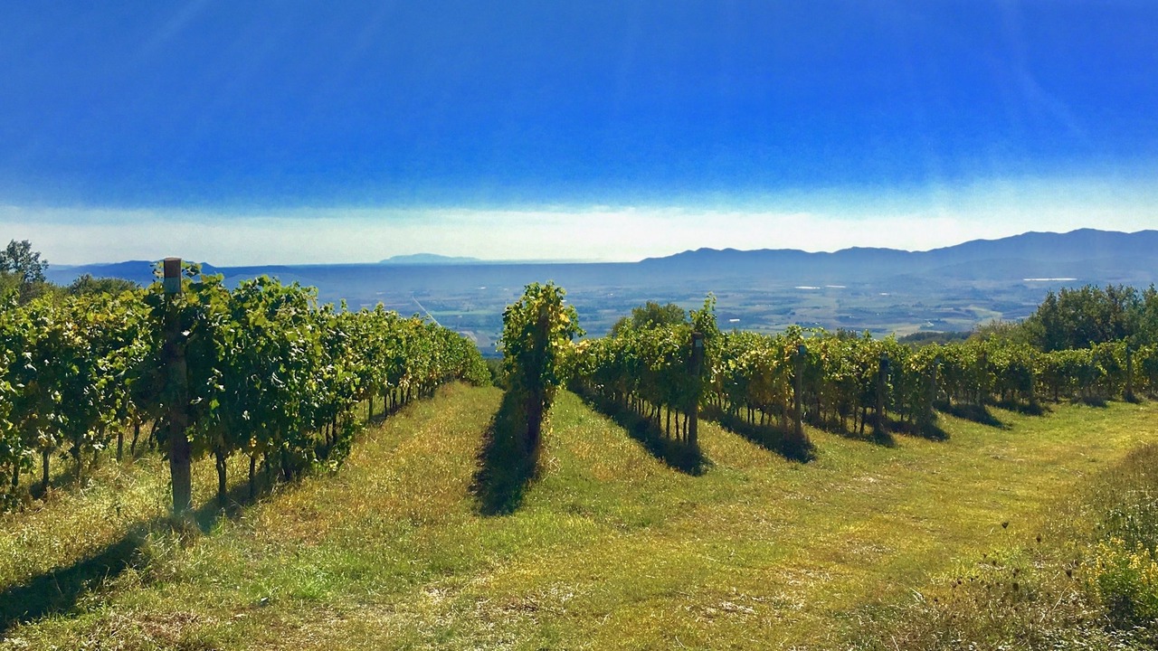 Photo of Others in Sassofortino