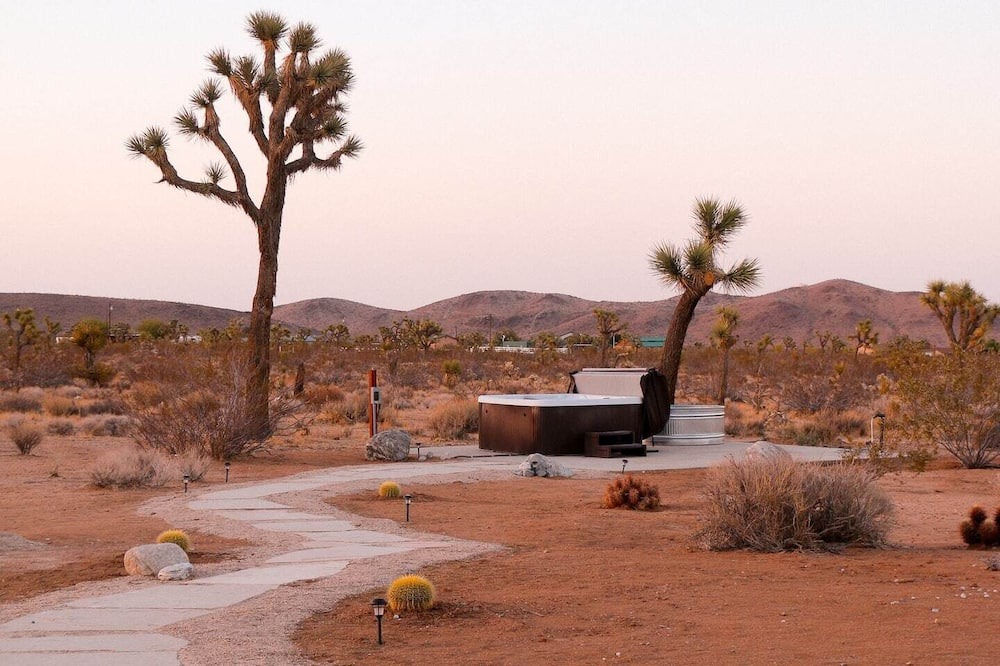 Photo of Others in Yucca Valley