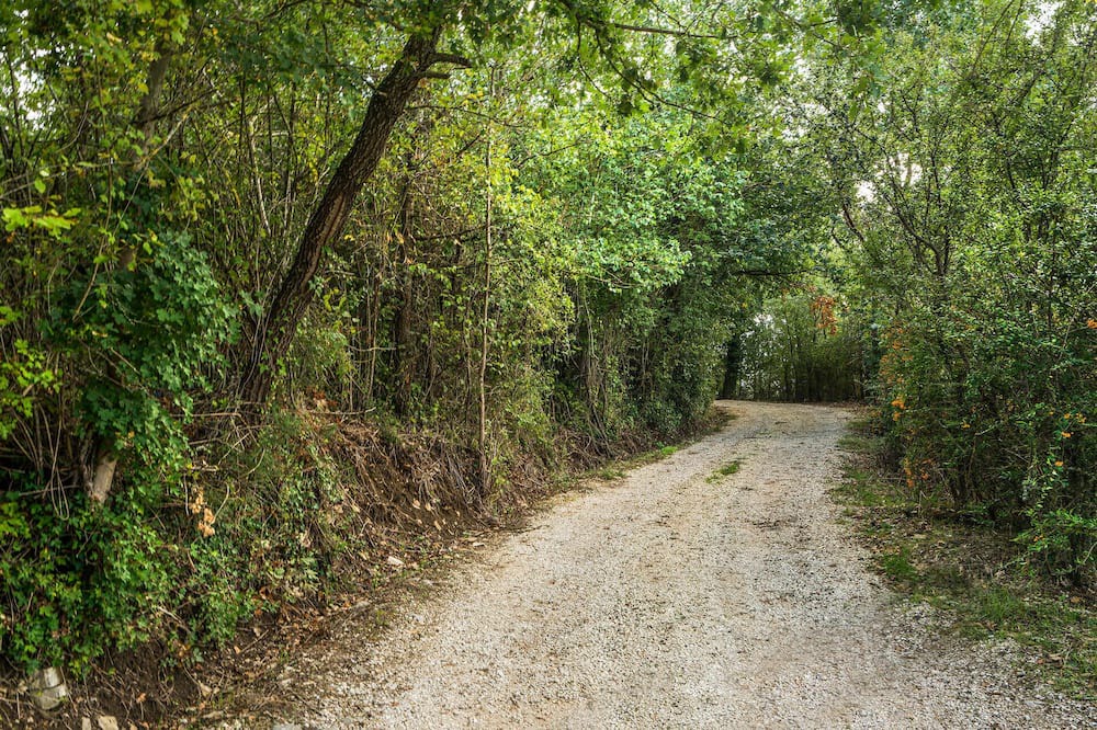 Photo of Outdoor in Izzalini