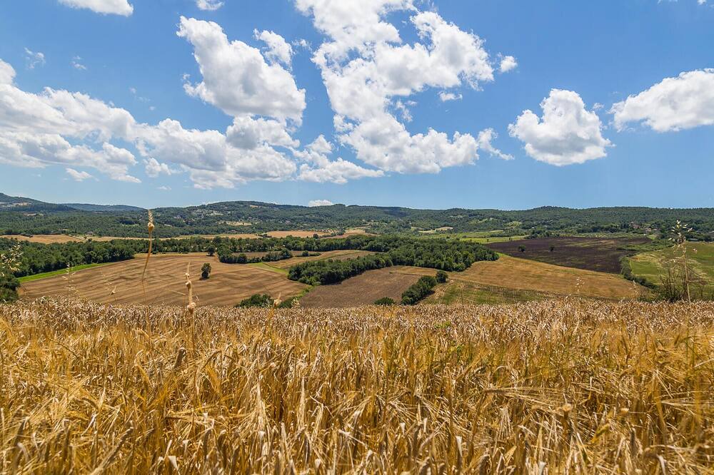 Photo of Outdoor in Izzalini
