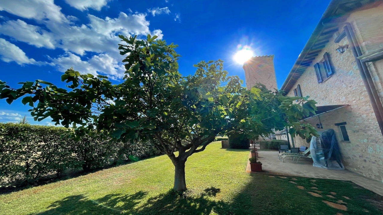 Photo of Outdoor in Limiti