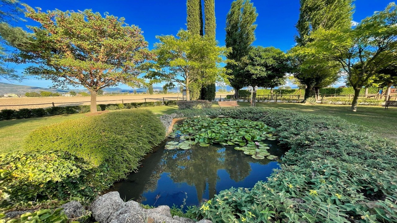 Photo of Outdoor in Limiti