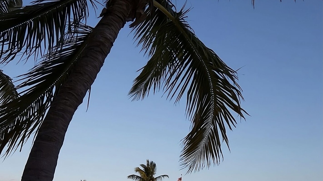 Photo of Others in Islamorada