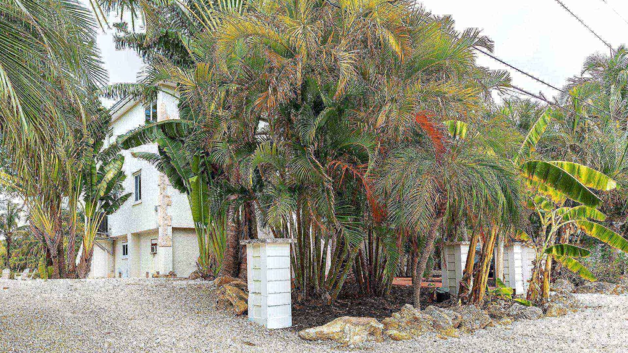 Photo of Outdoor in Sugarloaf Shores