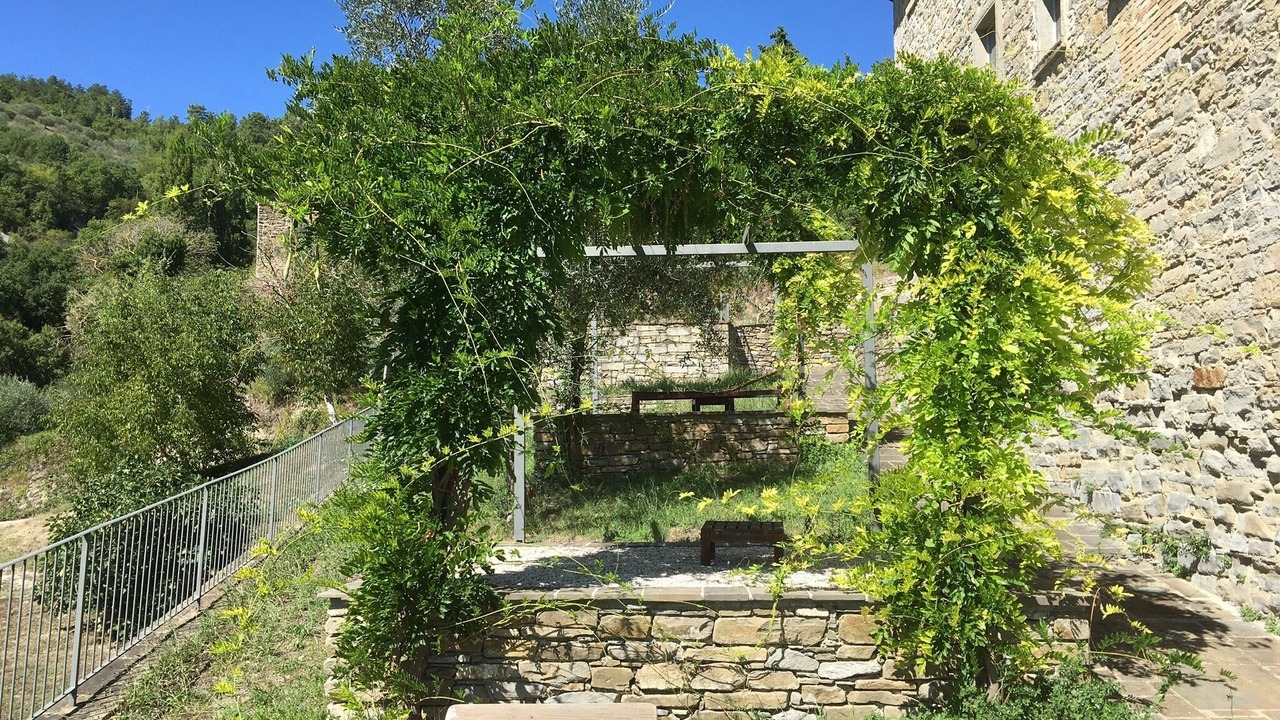 Photo of Outdoor in Carpini