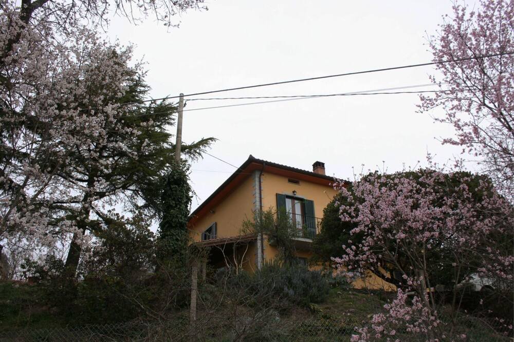 Photo of Outdoor in Pieve di Chio